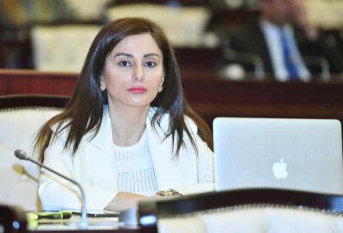 Türkdilli dövlətlər arasında əlaqələrin inkişaf etdirilməsi istiqamətində mühüm işlərin həyata keçirildiyini görürük