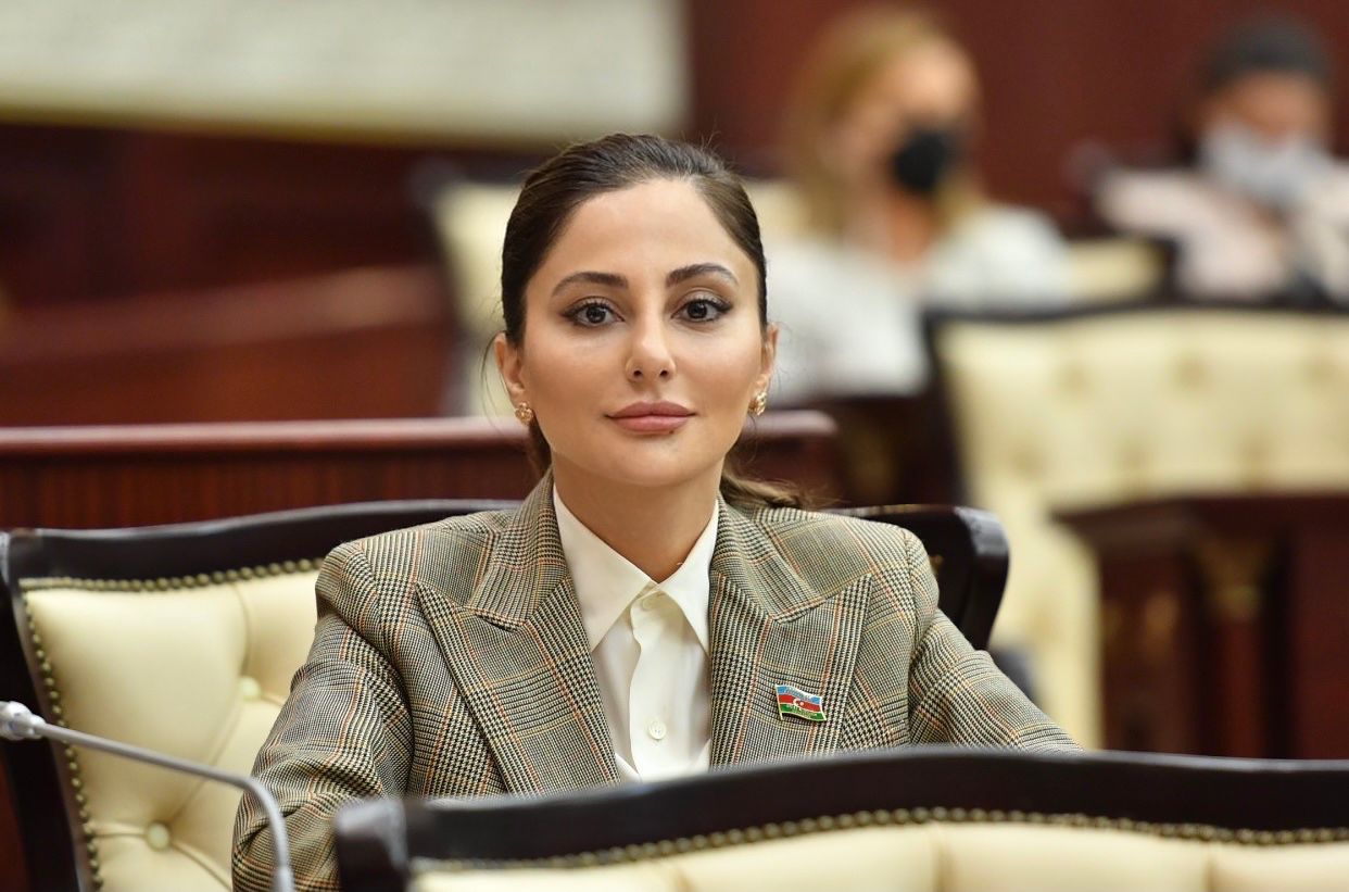 Zəfər tarixini yazanlar - Azərbaycan gəcliyi